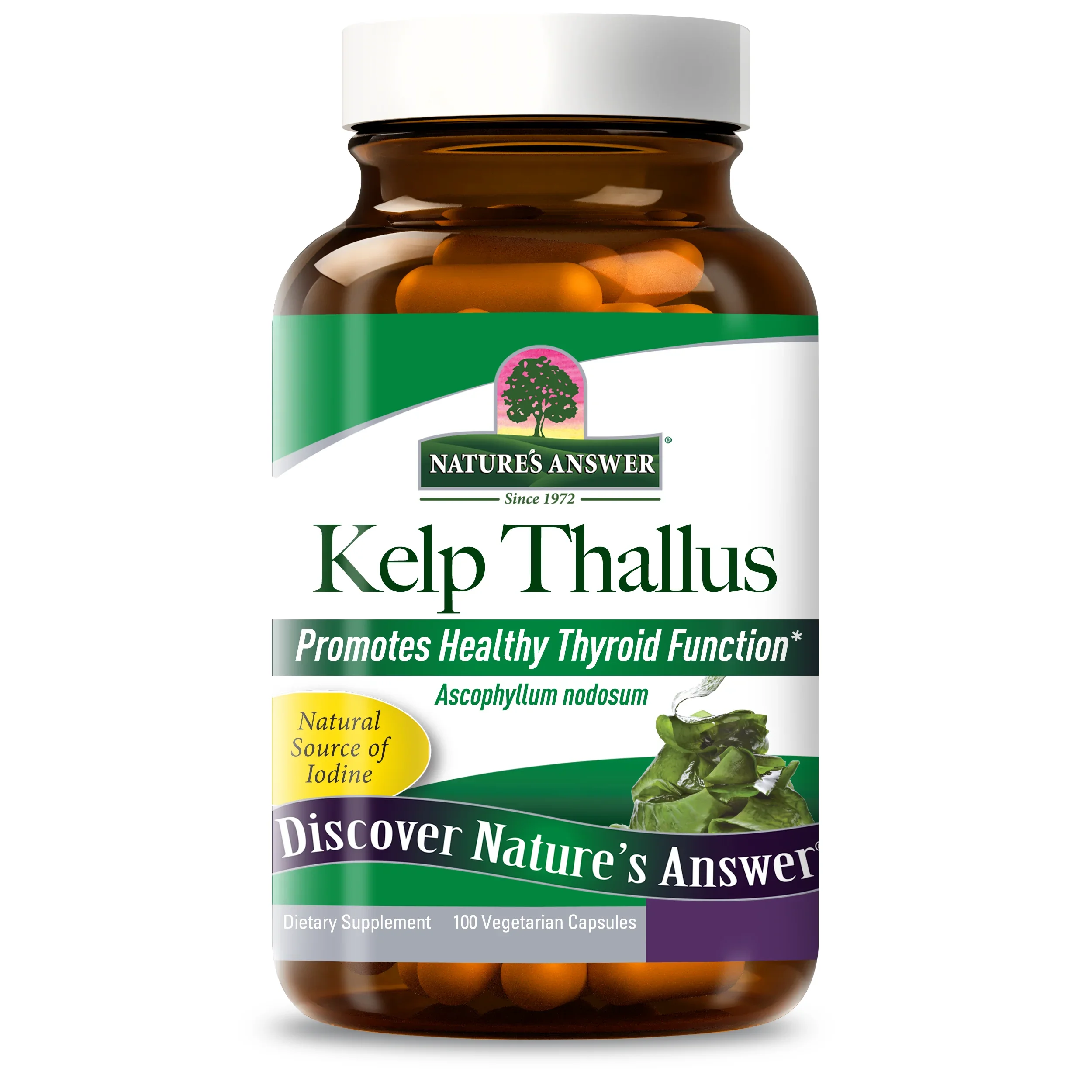 Nature's Answer Kelp Thallus