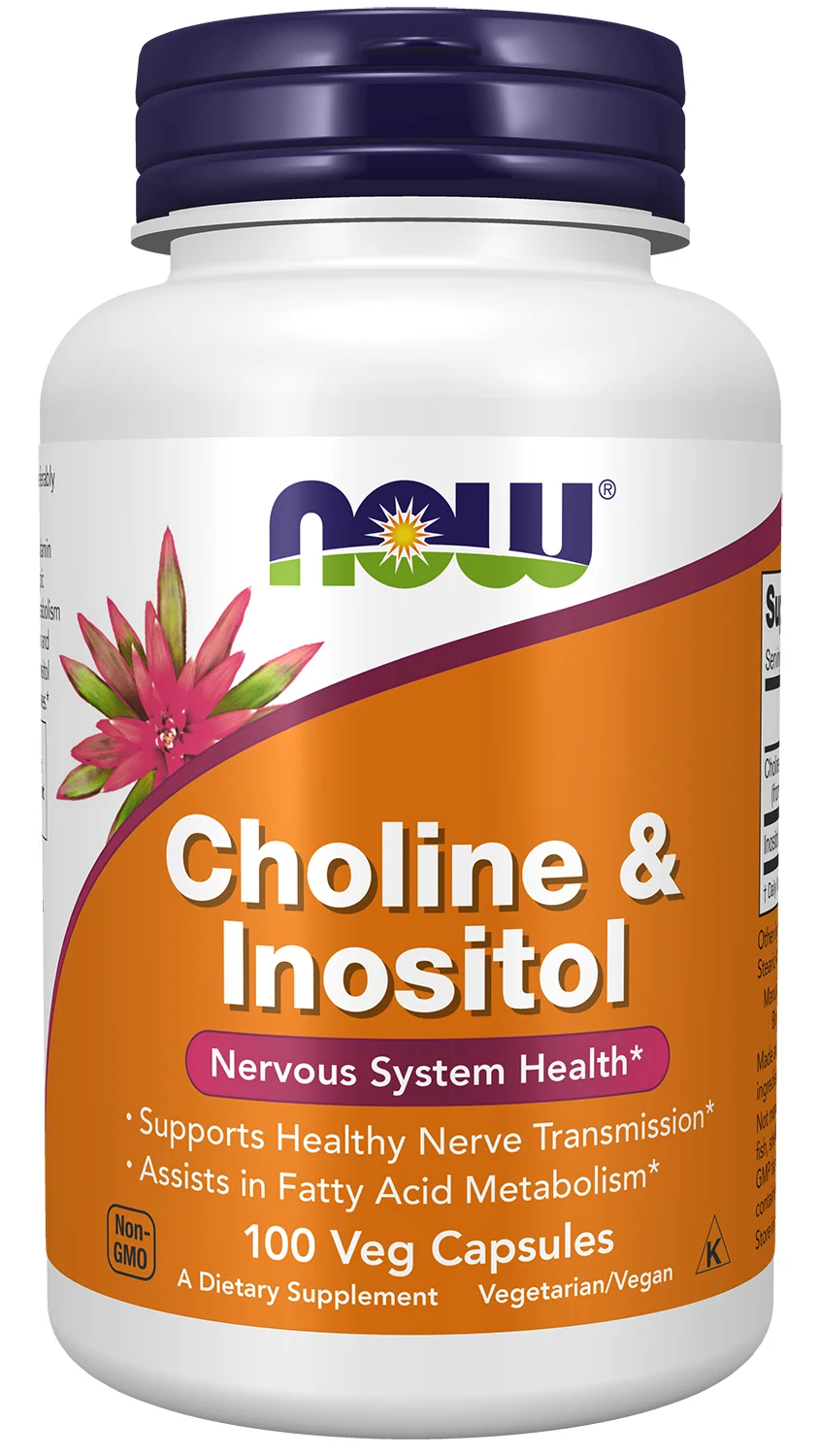 NOW Foods Choline and Inositol