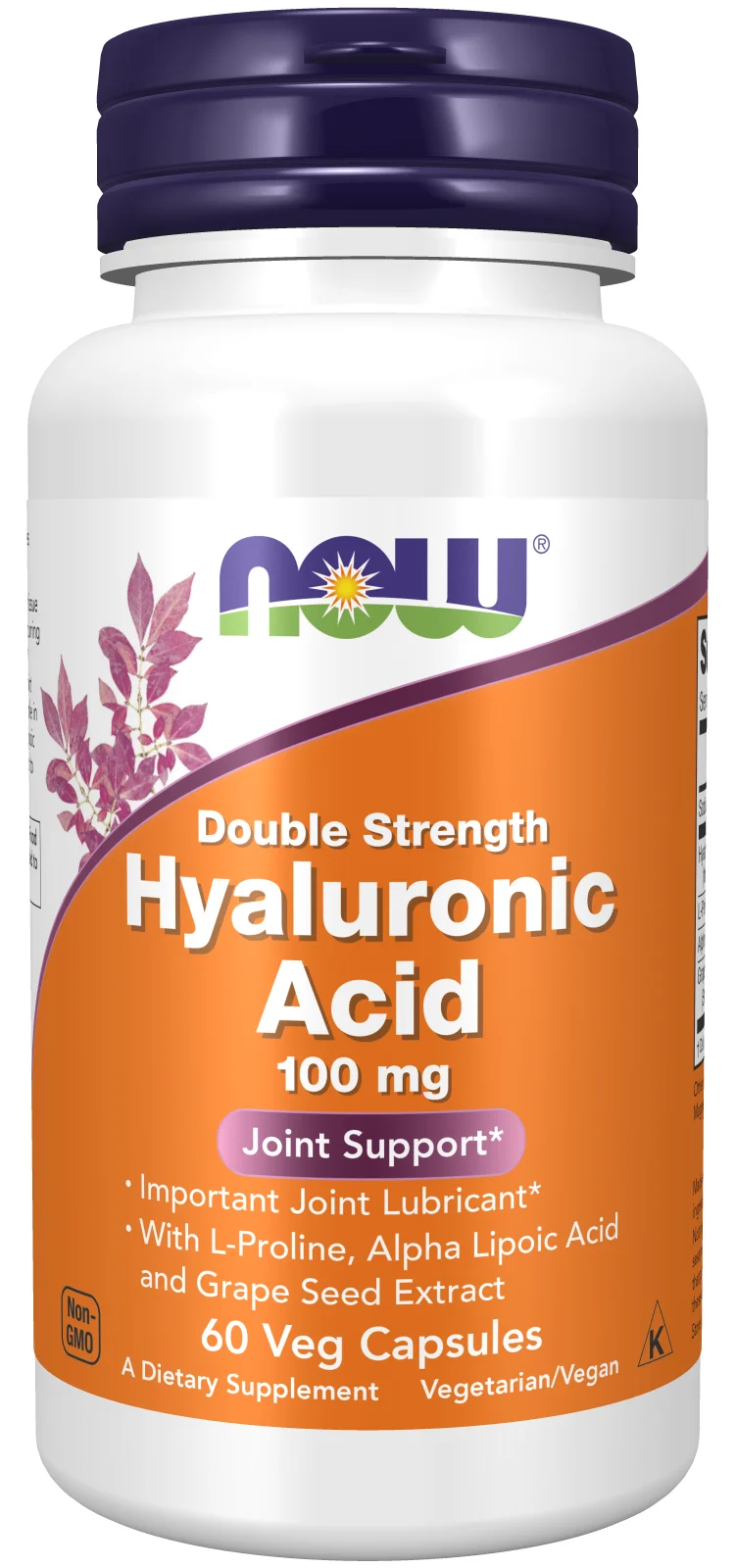 NOW Foods Hyaluronic Acid - 100mg Double Strength