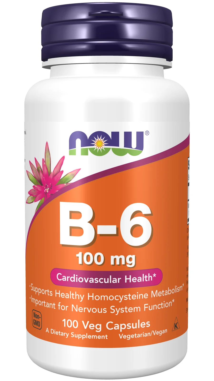 NOW Foods Vitamin B-6 - 100mg
