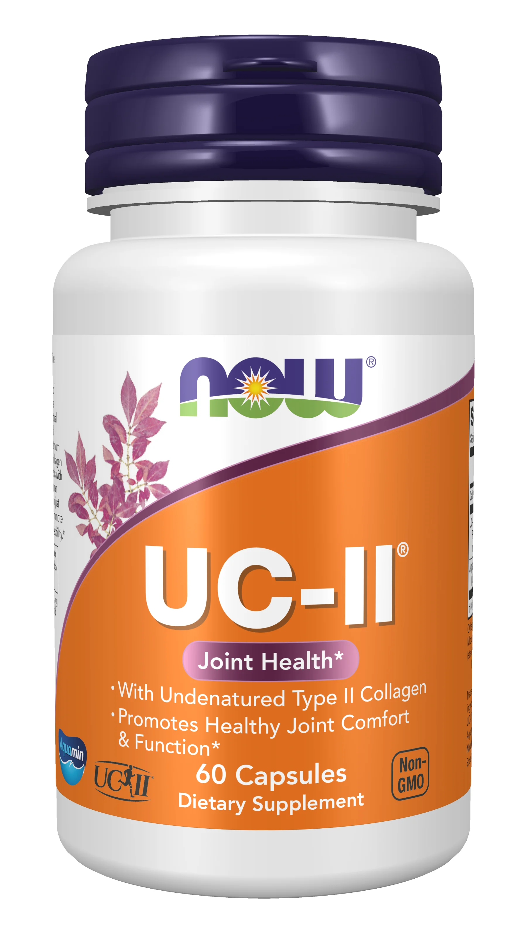 NOW Foods UC-II Undenatured Type II Collagen