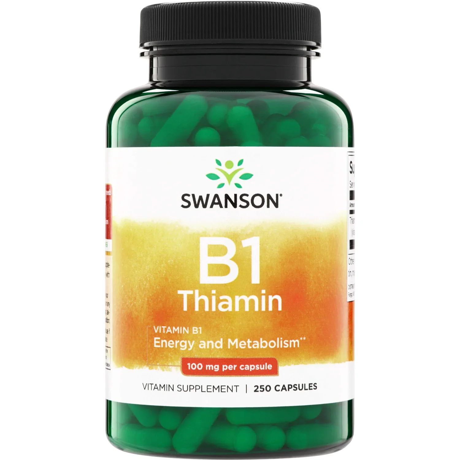 Swanson Vitamin B-1 (Thiamin), 100mg